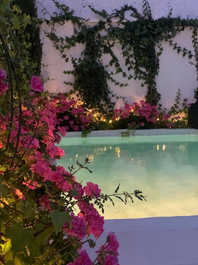 Patios Del Agua Отель типа 